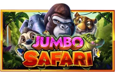 19bet com